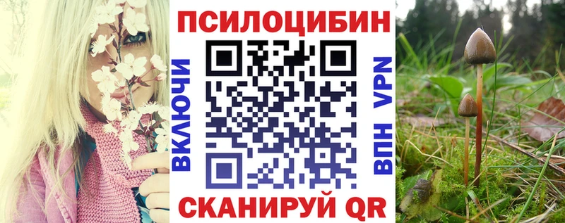 Псилоцибиновые грибы Cubensis Куйбышев